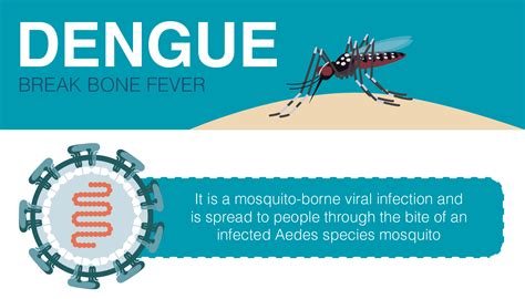 dengue meaning in english